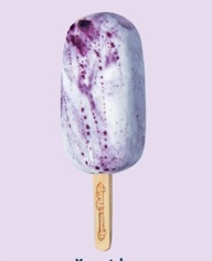 Paquete Paleta Yogurt de Arandano x 13 und